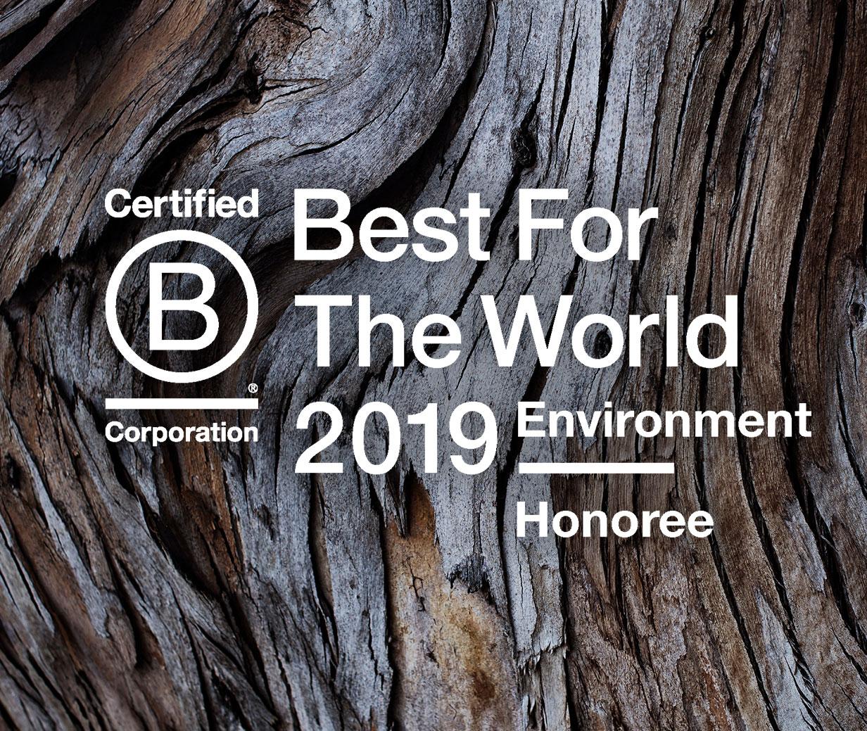 What does it mean to be a B Corp?