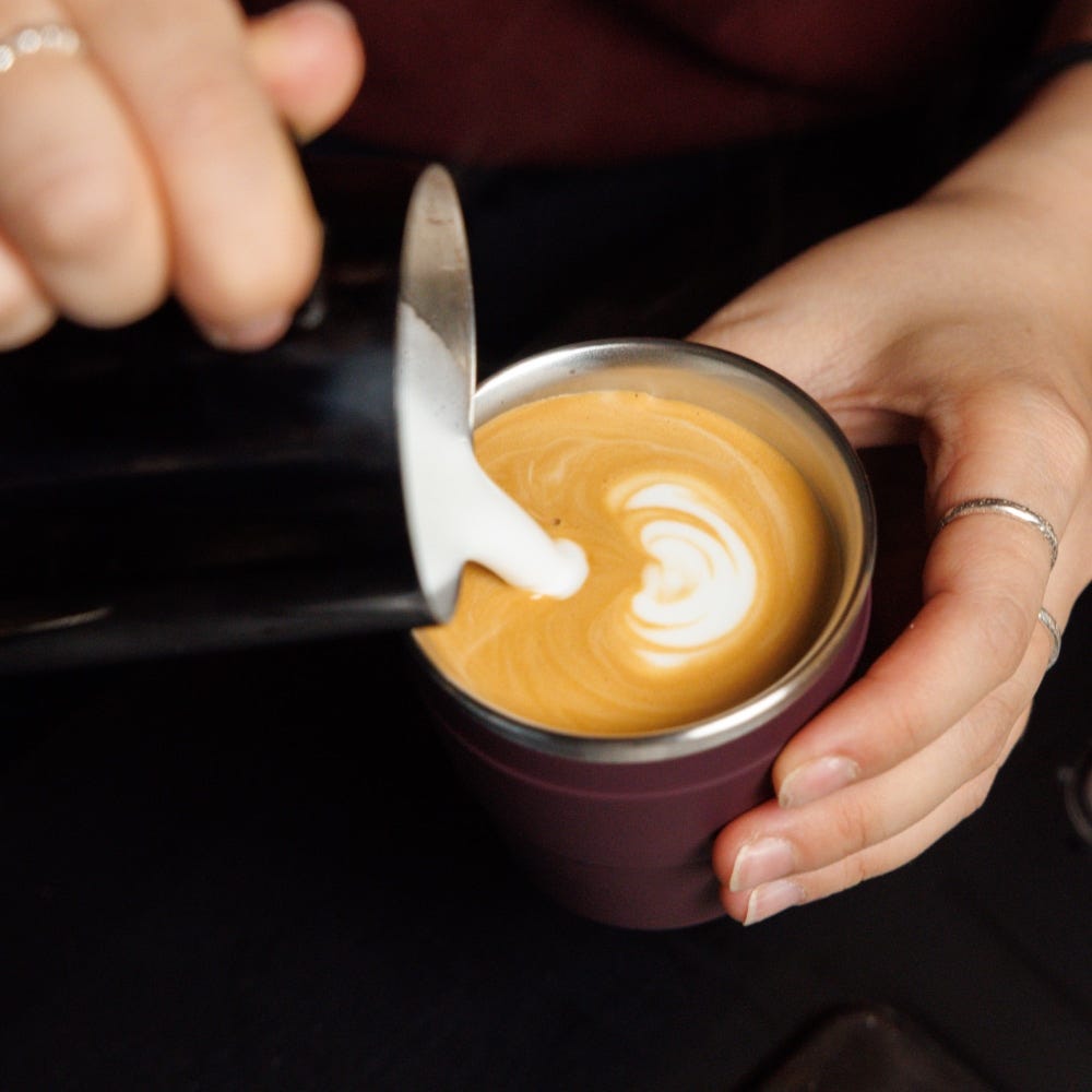 Thermal Quicksip - XS 6oz | Alder