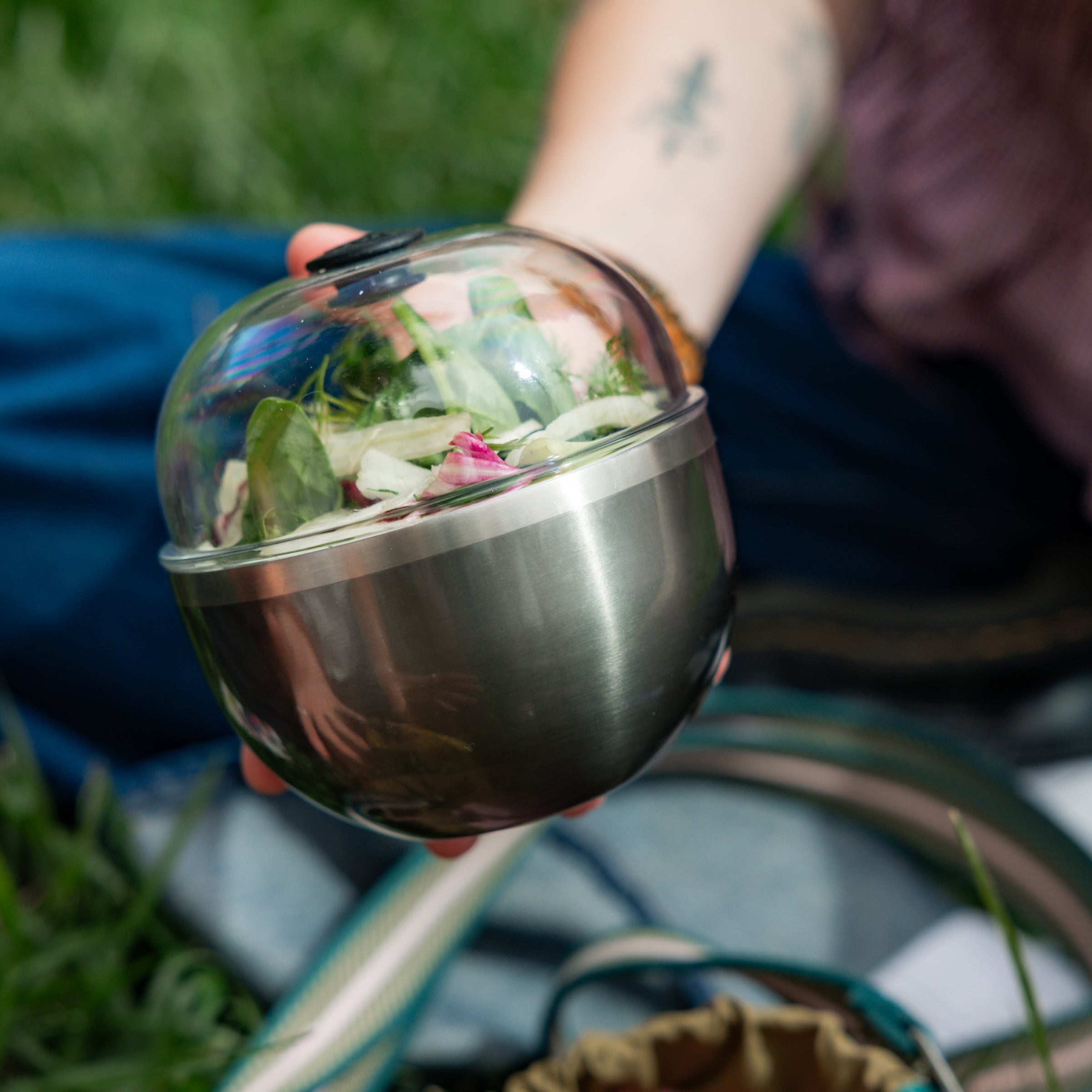 Person holding a transparent container with plants outdoors