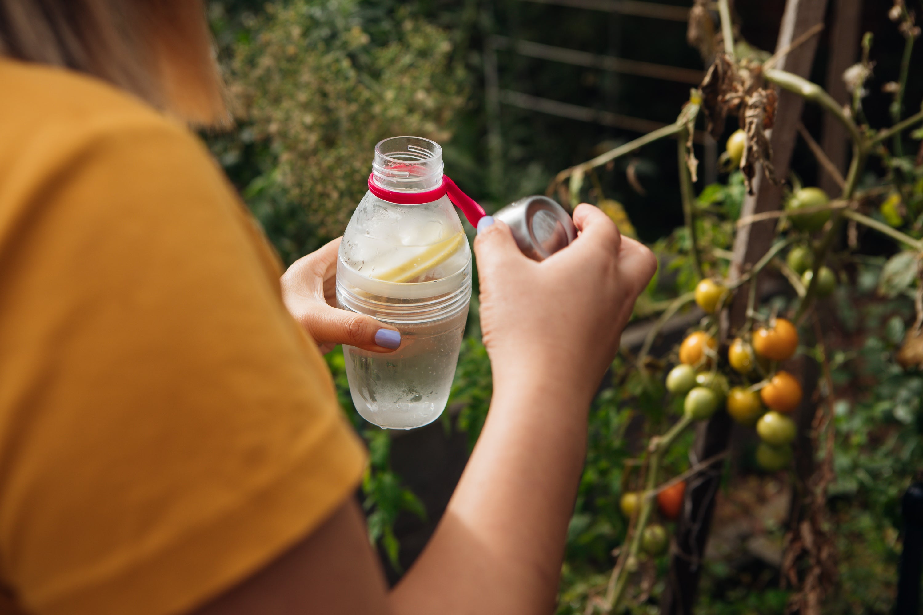 Person holding a water bottle with lemon slices outdoors near a tomato plant