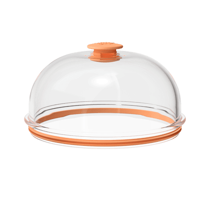 Go Bowl Dome Lid in Peach, shown from a three-quarter angle against a white background, featuring a transparent domed cover with a peach-coloured handle on top and matching peach silicone band around the base.